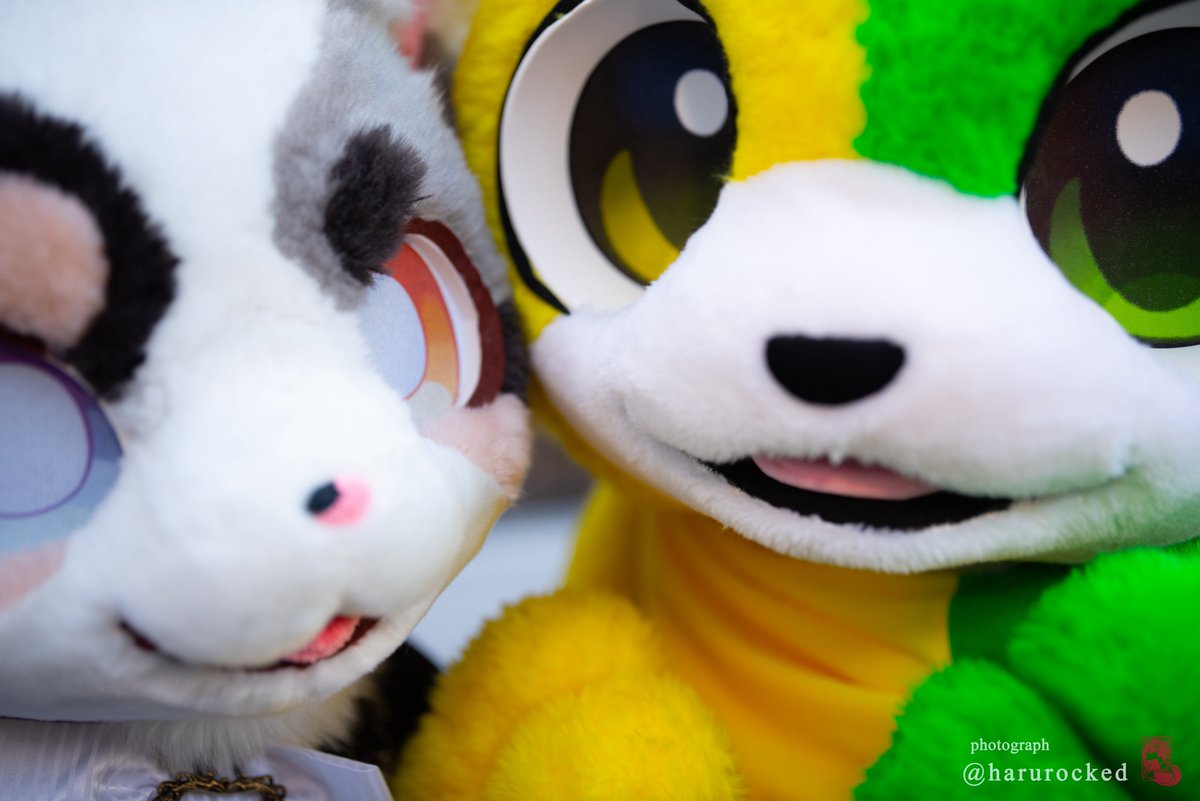 はるかぜ tweet media