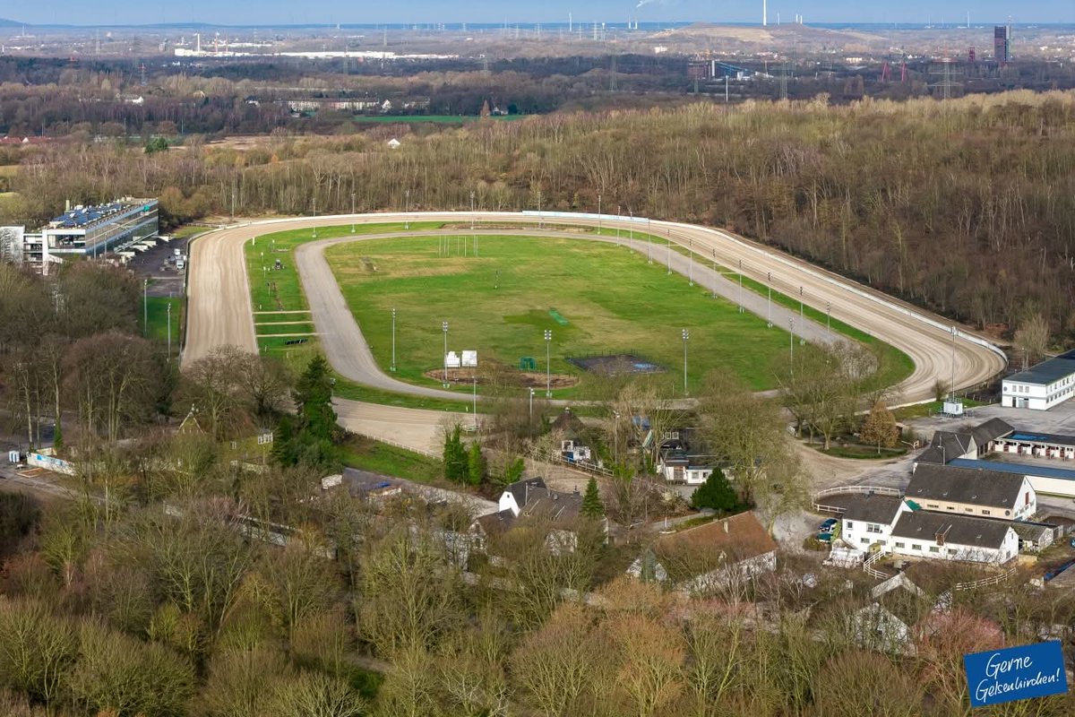 Gerne Gelsenkirchen tweet media