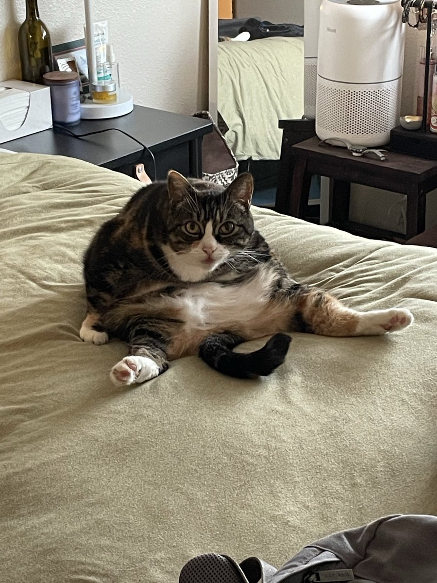 Mr. Zoris tweet media