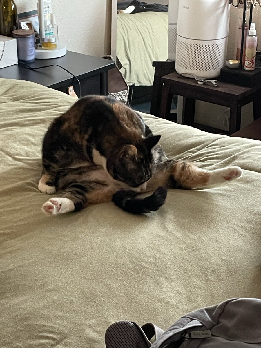 Mr. Zoris tweet media