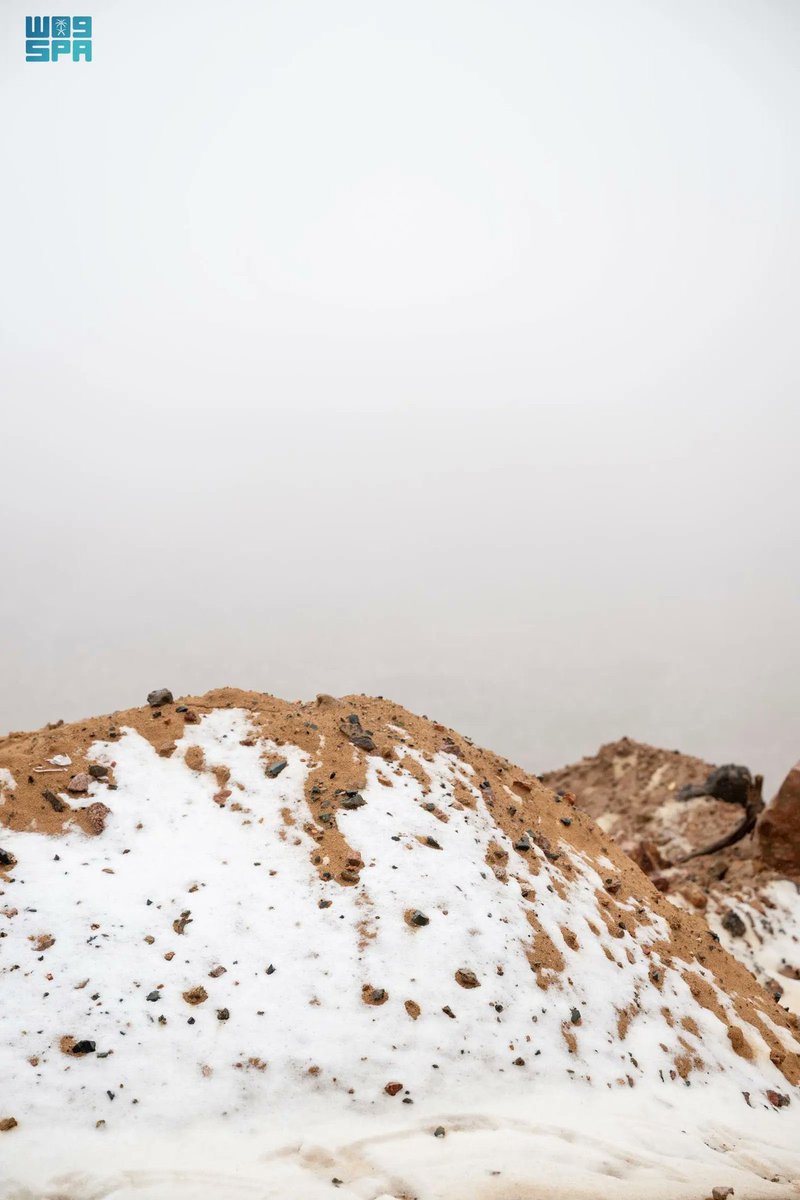 خبر عاجل tweet media