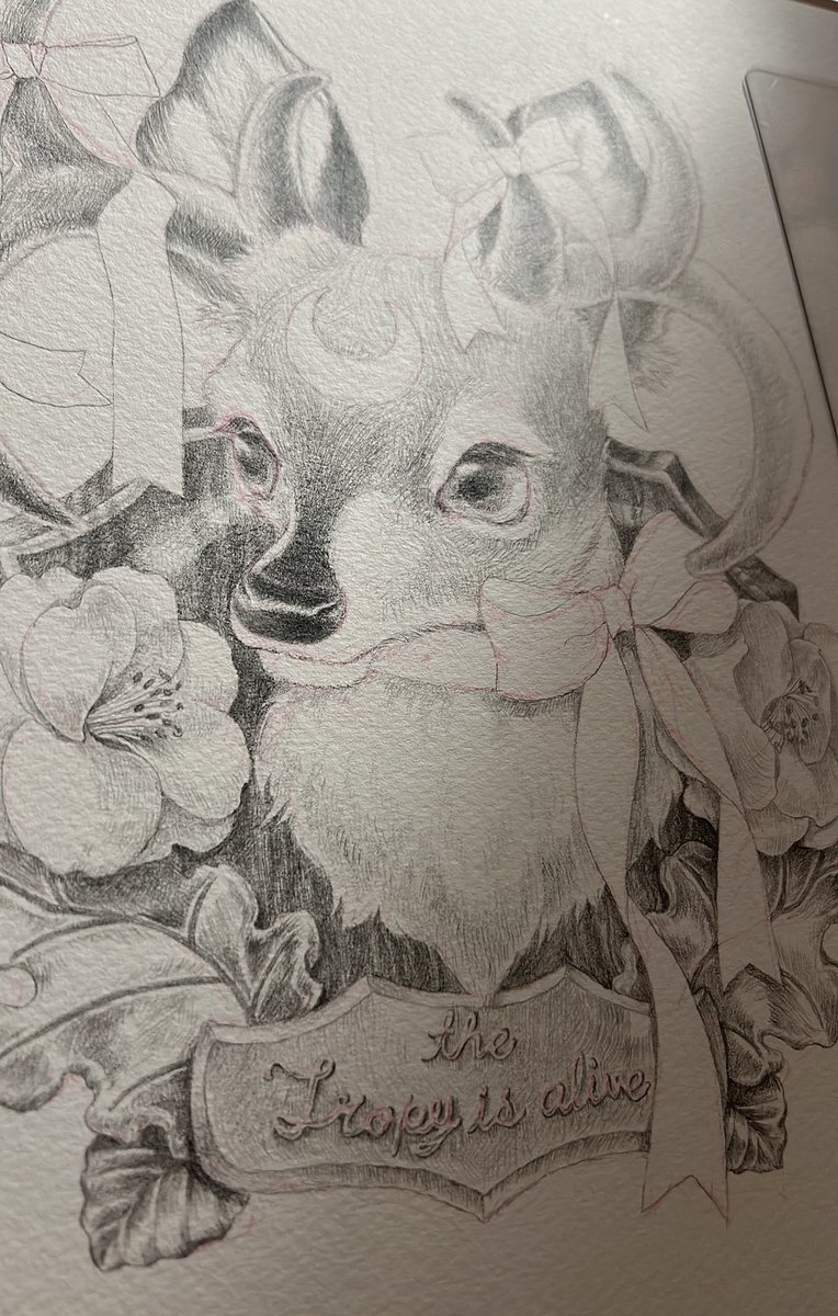 Ms LUTRA🌈🚪🐘かわうそ tweet media