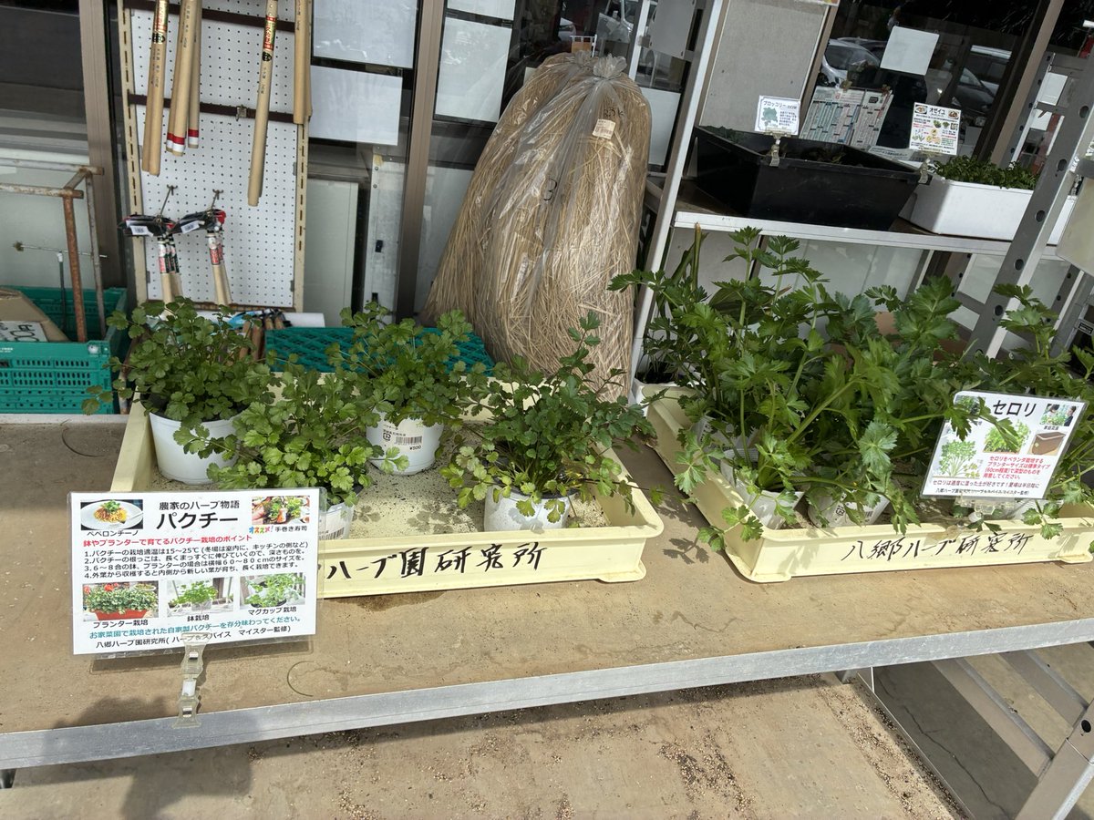 ごんた tweet media