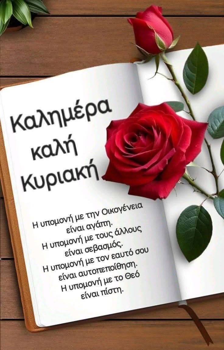 Δουλτσινεα tweet media