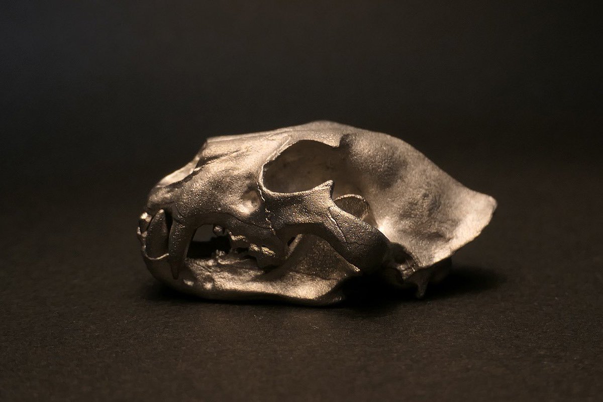 planevia tweet media