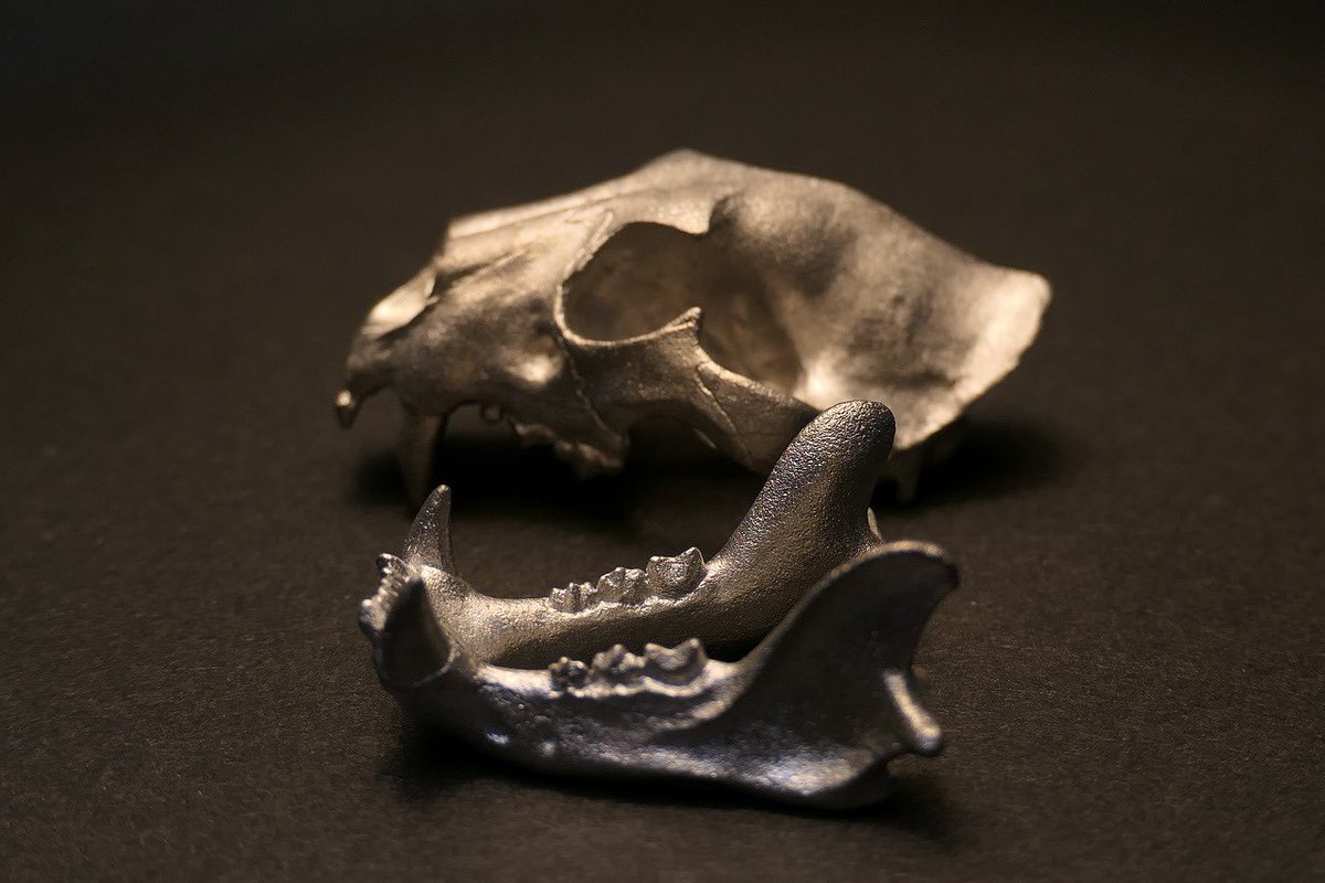 planevia tweet media