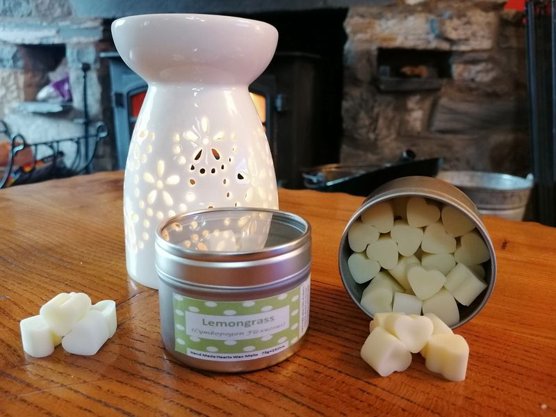 Dotty4Paws tweet media