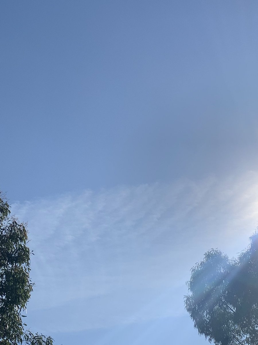 🇦🇺 2plus2equals4💉🤡💉🤡💉🤡☠️ tweet media