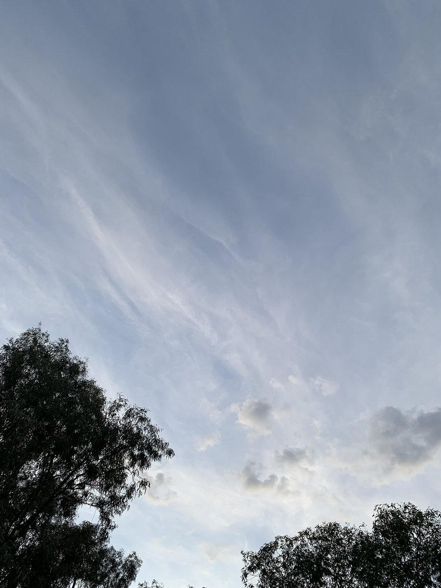 🇦🇺 2plus2equals4💉🤡💉🤡💉🤡☠️ tweet media