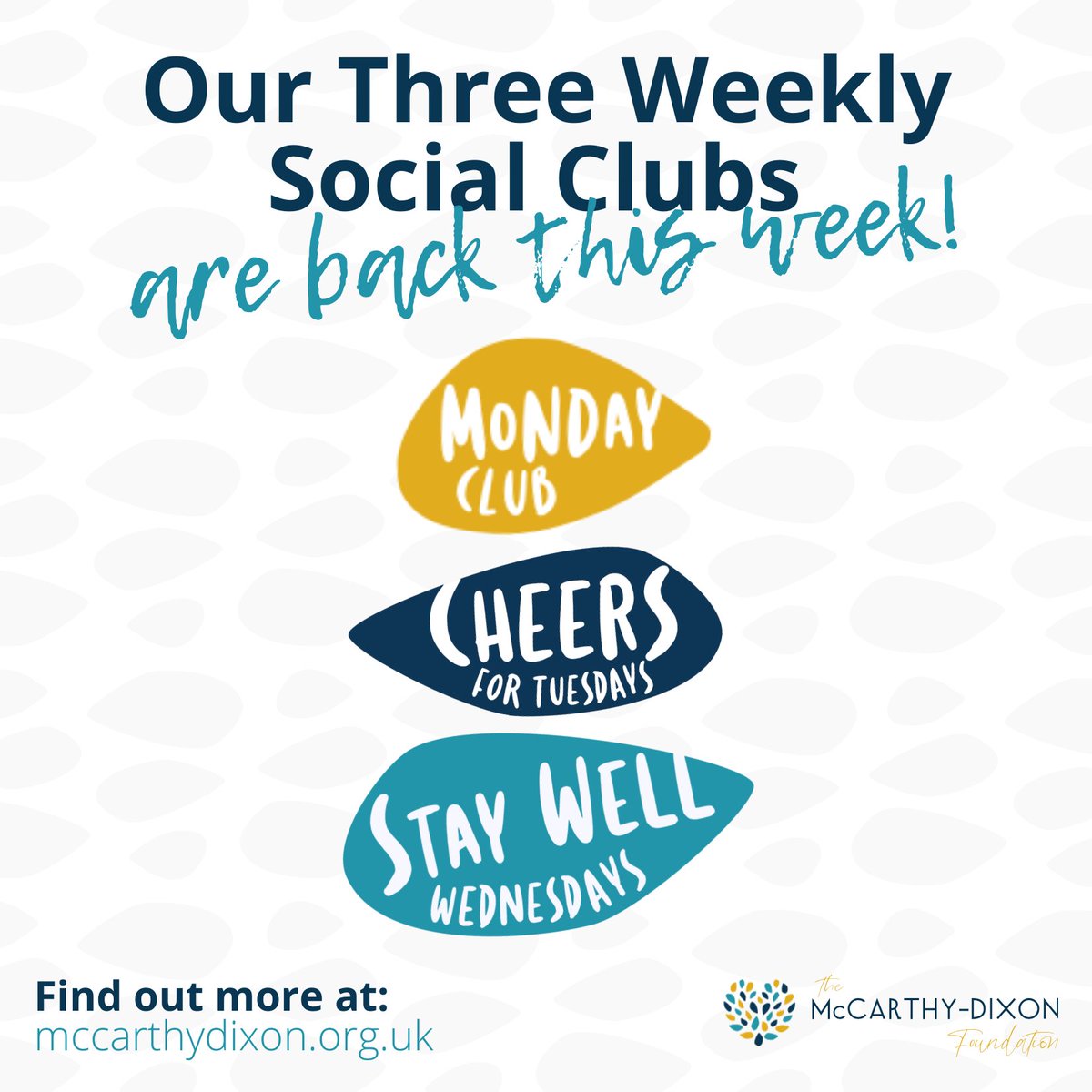 The McCarthy-Dixon Foundation tweet media