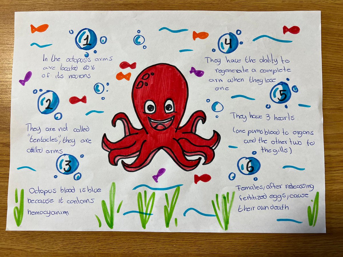 Colegio Discípulas de Jesús tweet media