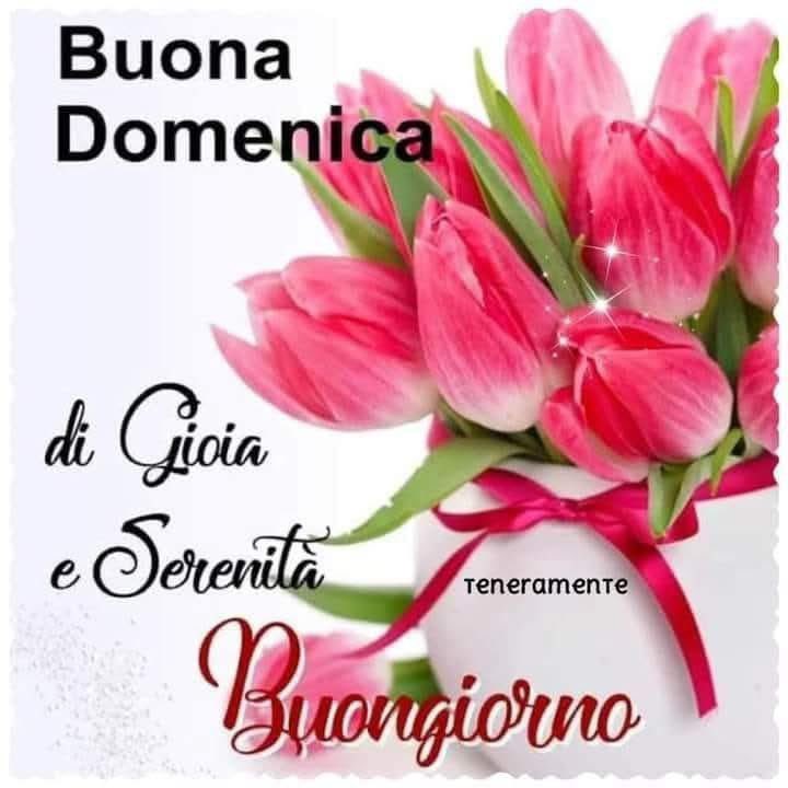 Meroni Daniele tweet media