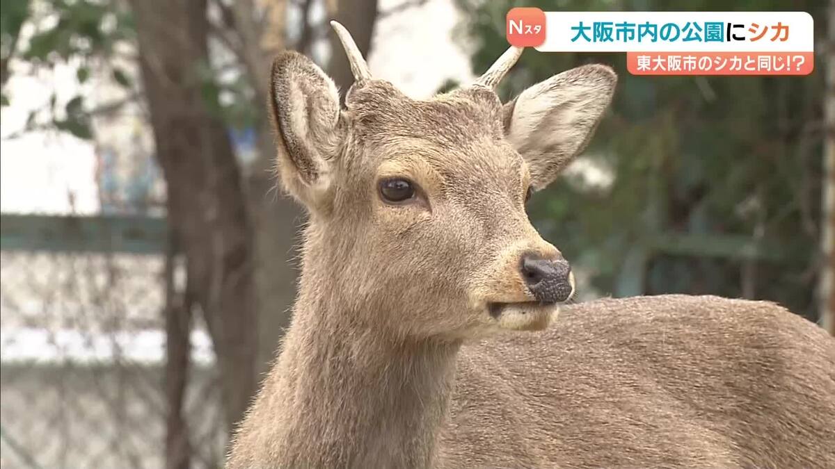 ライブドアニュース tweet media