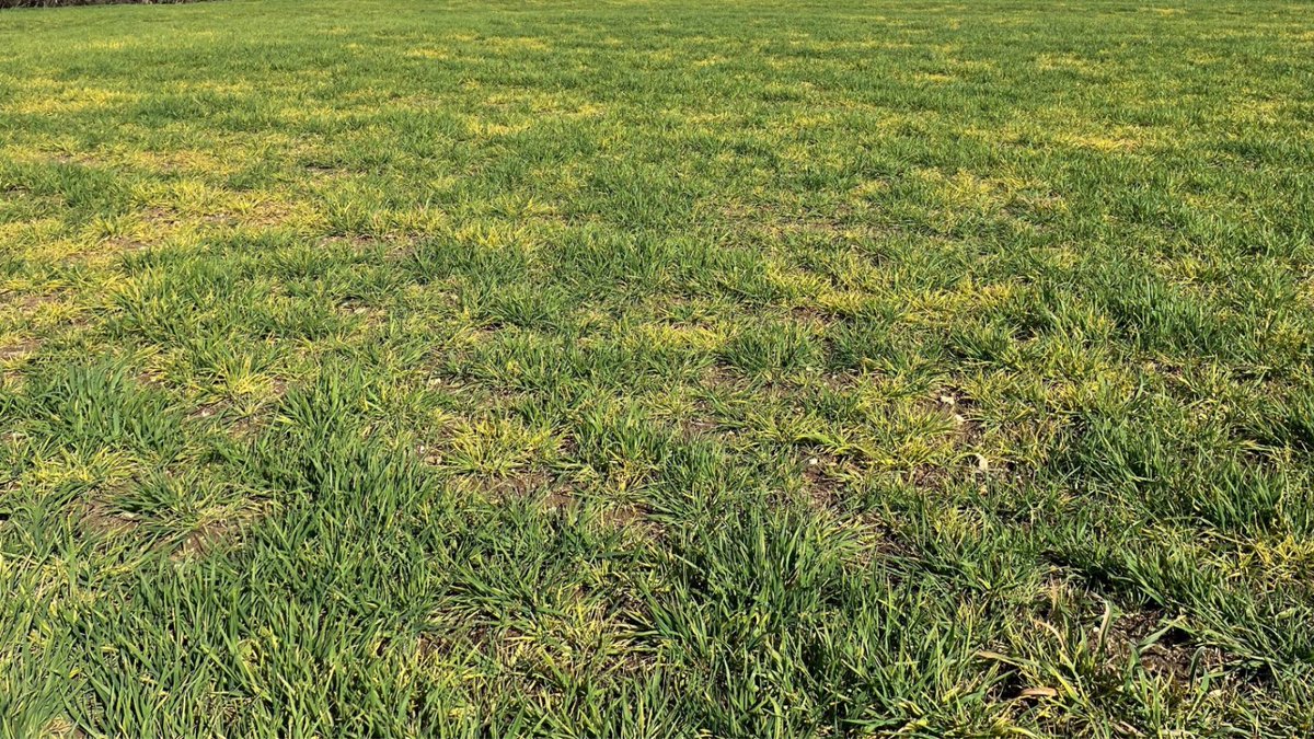 ProCam UK tweet media