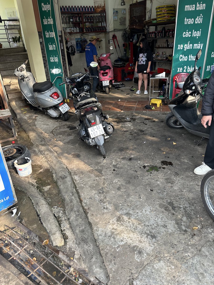 nftsasha tweet media