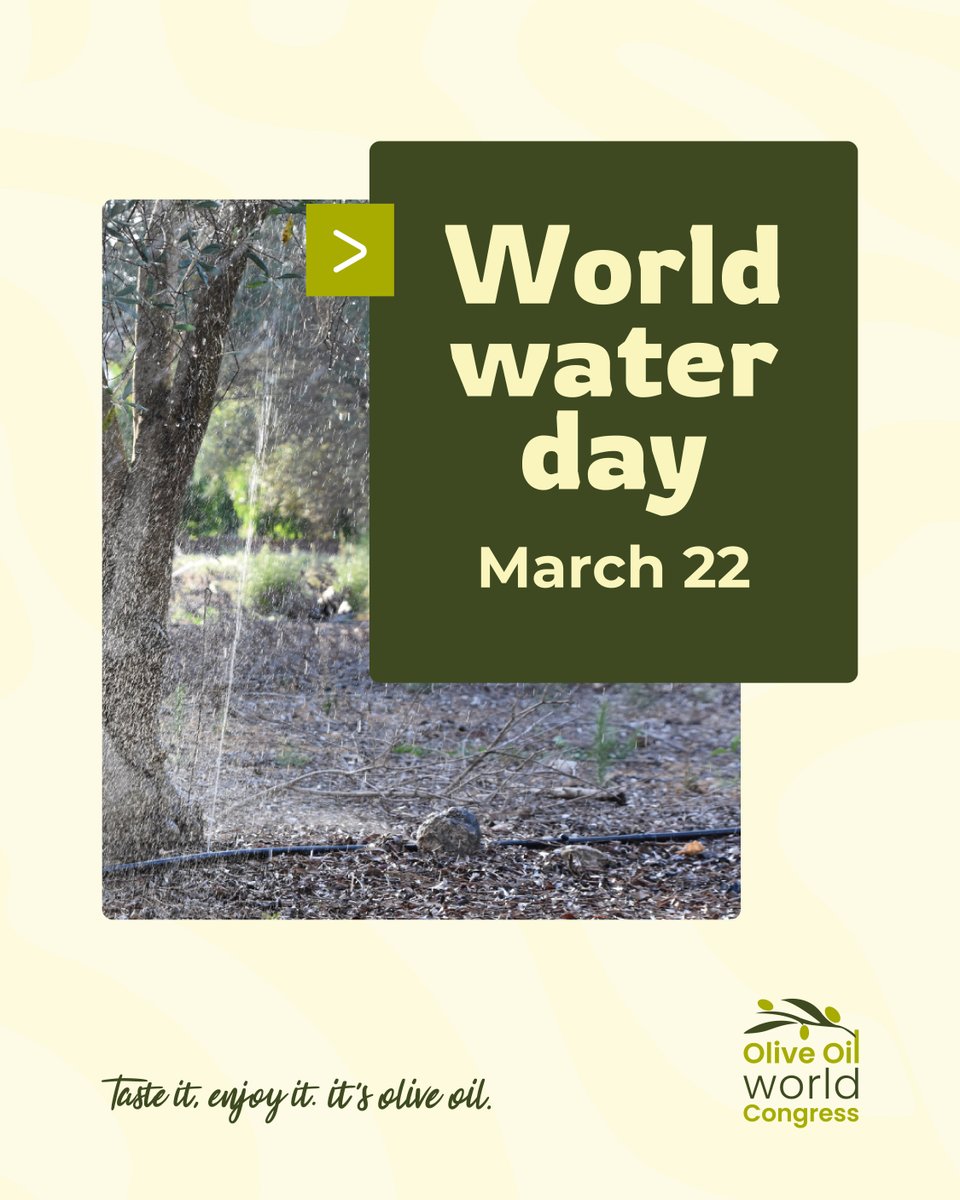 Olive Oil World Congress tweet media