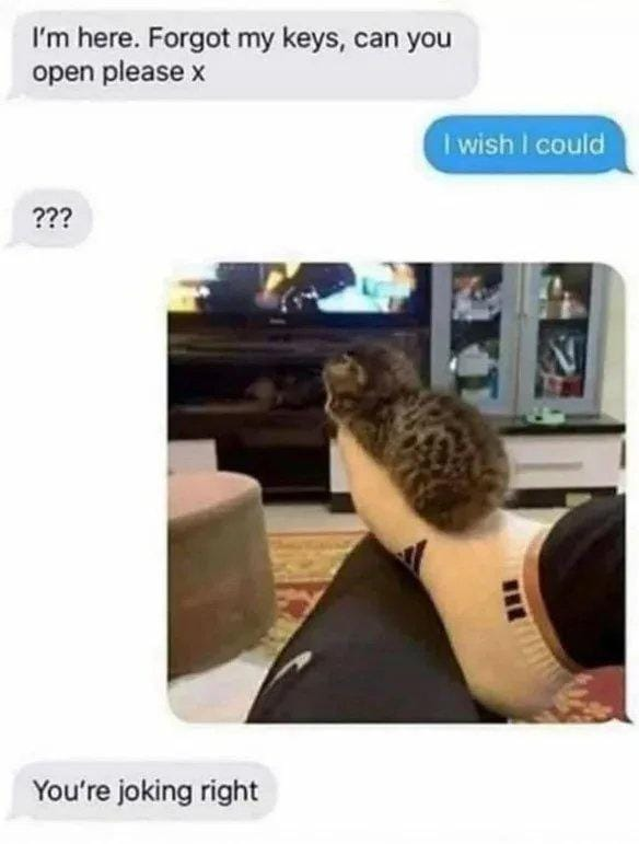 WholesomeMemes tweet media