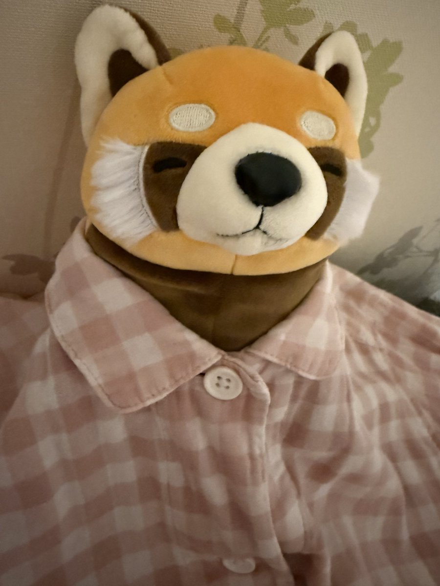 ジャッキー tweet media