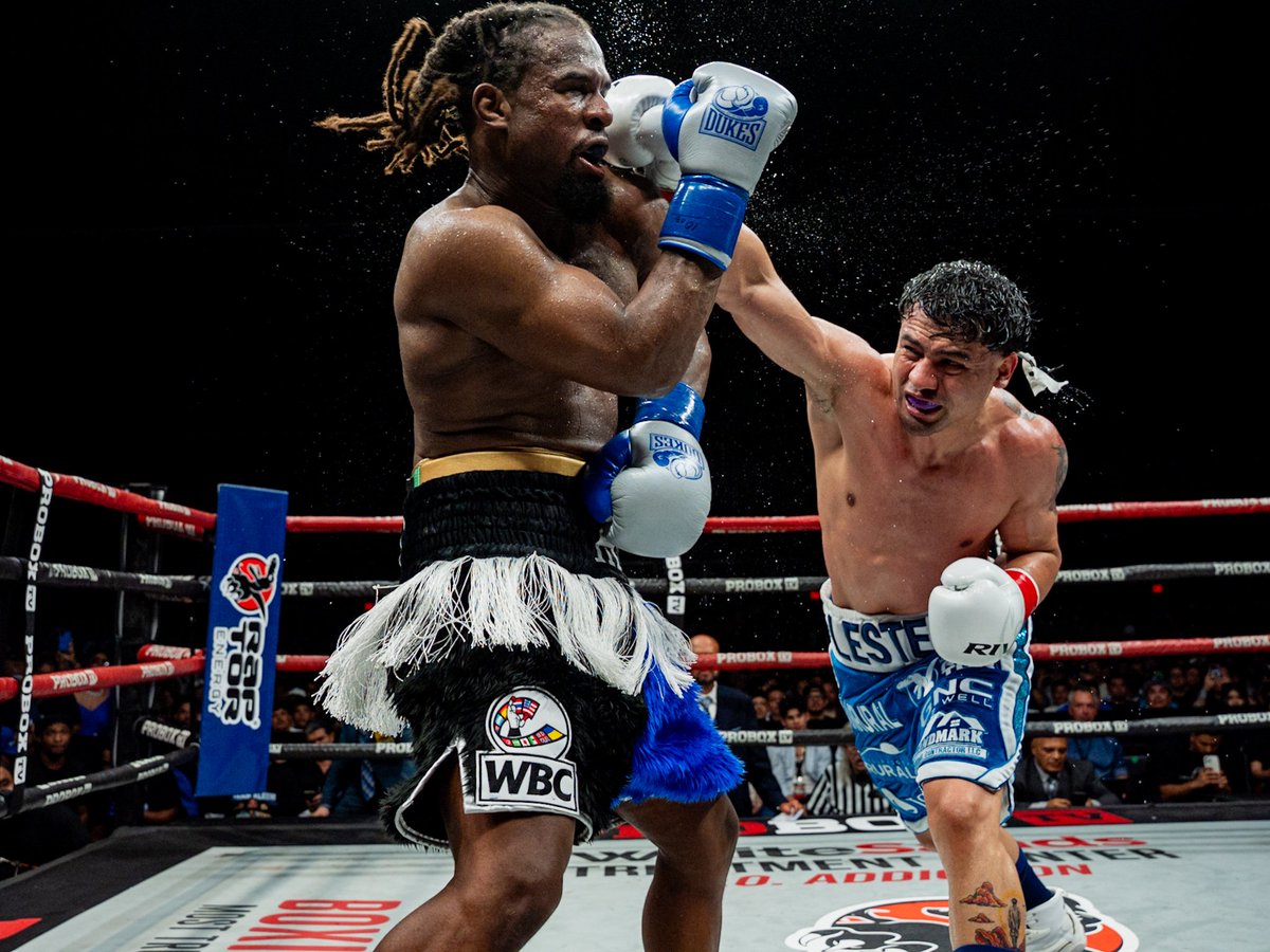 BOXE ATTITUDE tweet media