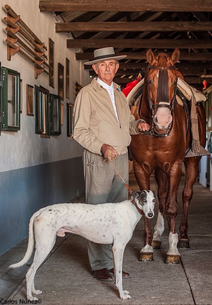 Magical Spain tweet media