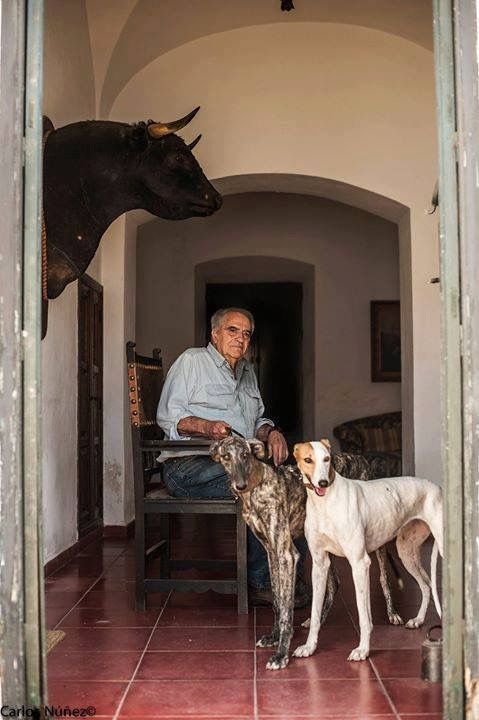 Magical Spain tweet media