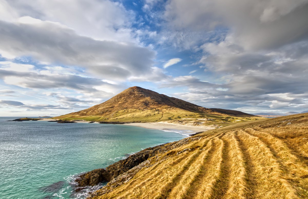 GordyMac45 tweet media