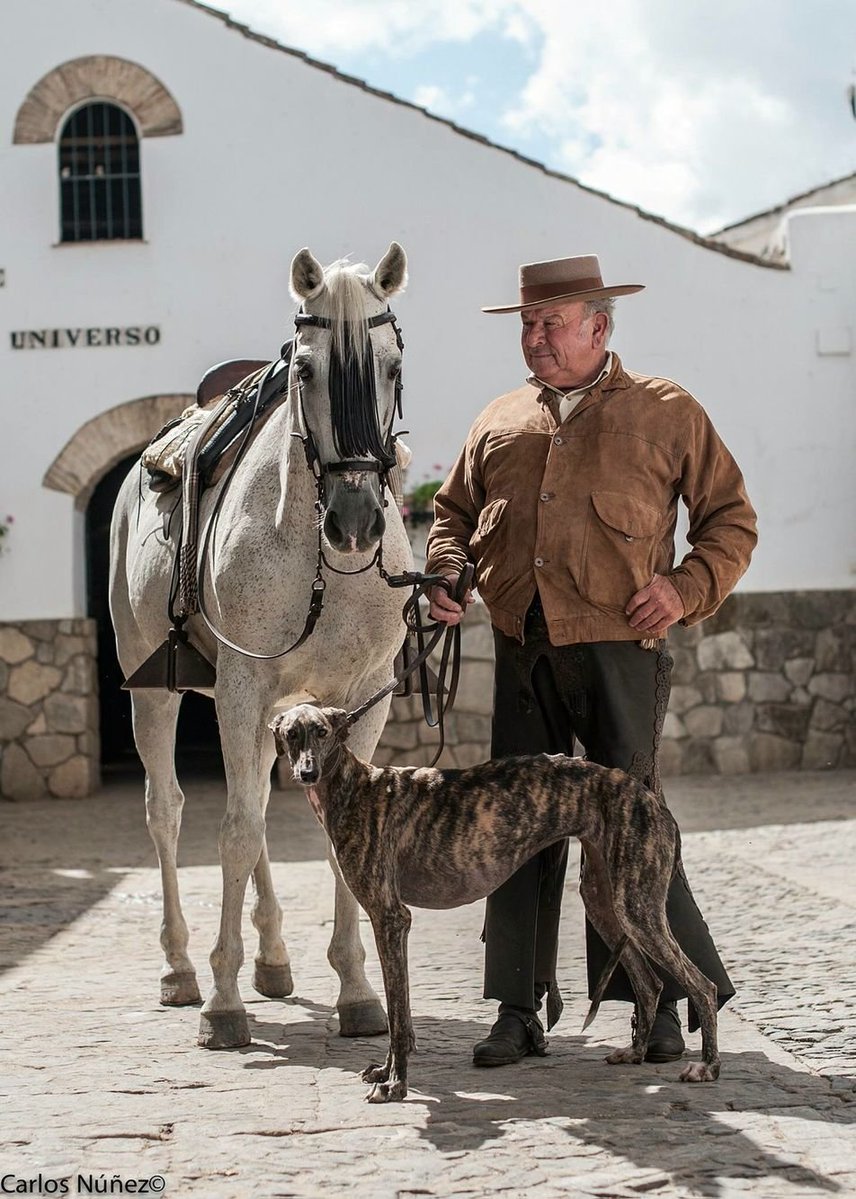 Magical Spain tweet media