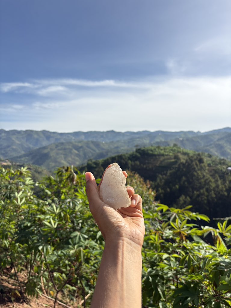 Mina Ghorbani tweet media