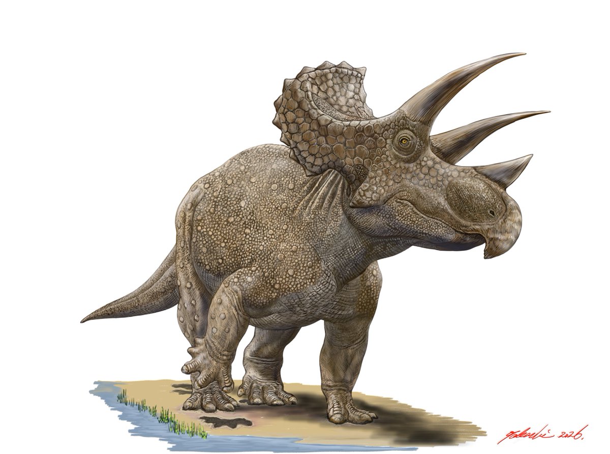 小田　隆　Oda Takashi tweet media