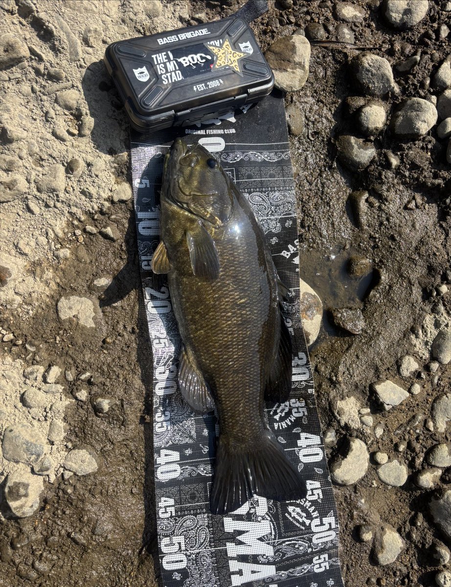 ✰ℛ✰ tweet media