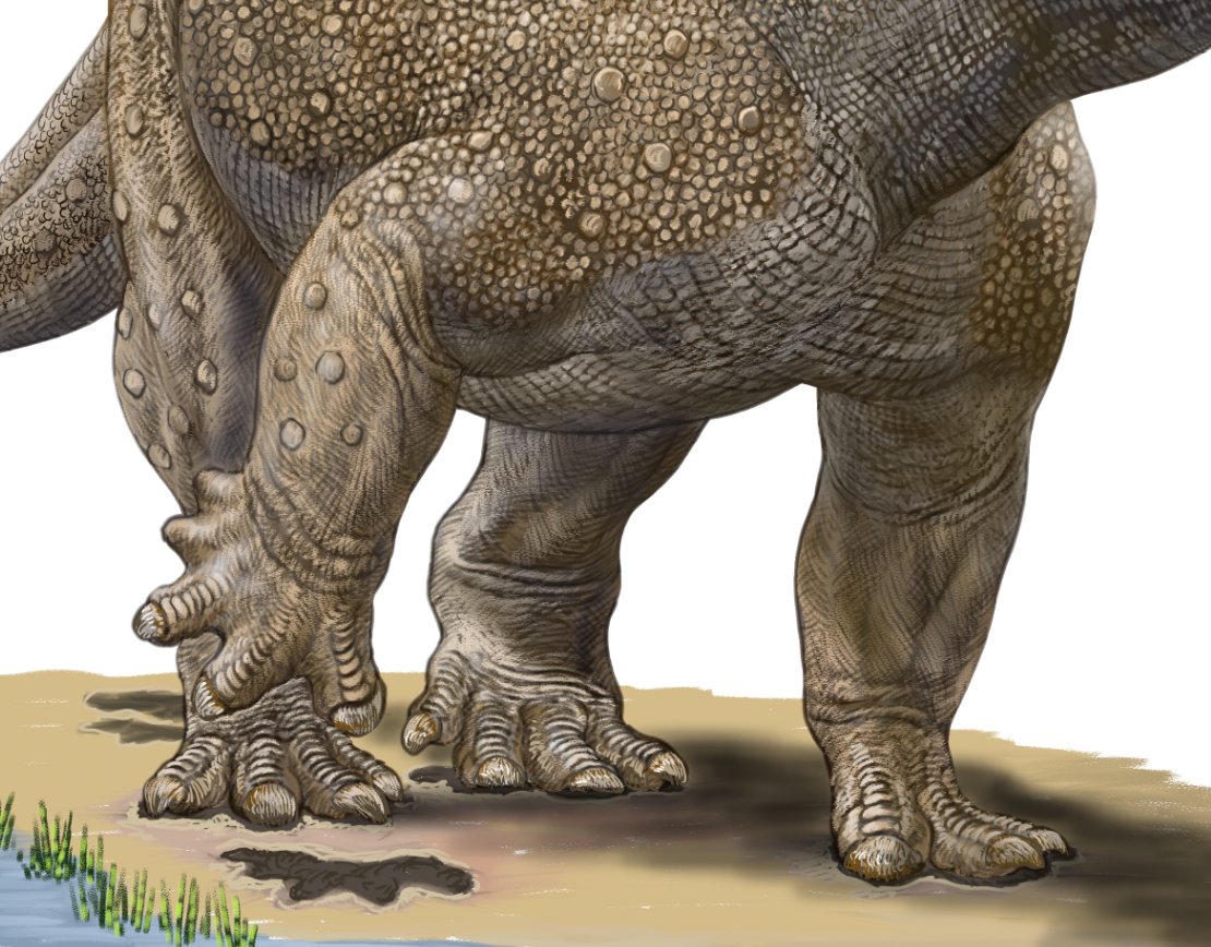 小田　隆　Oda Takashi tweet media