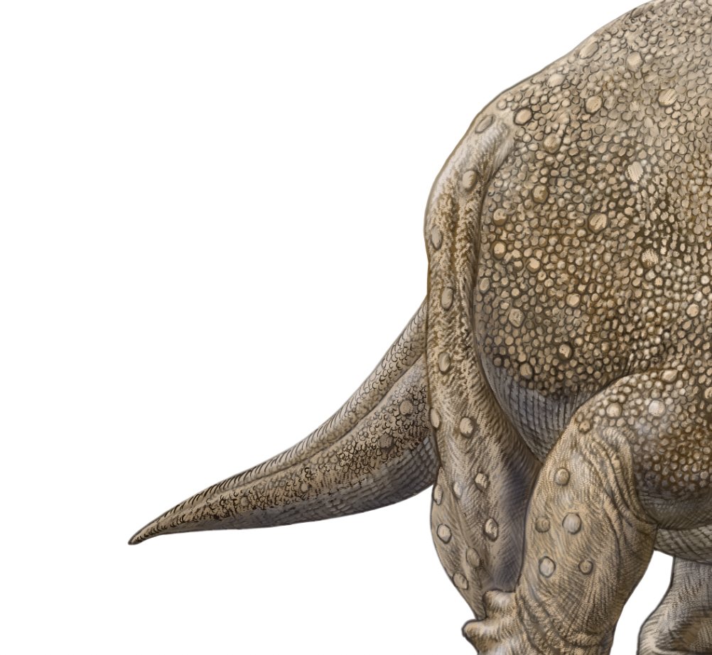 小田　隆　Oda Takashi tweet media