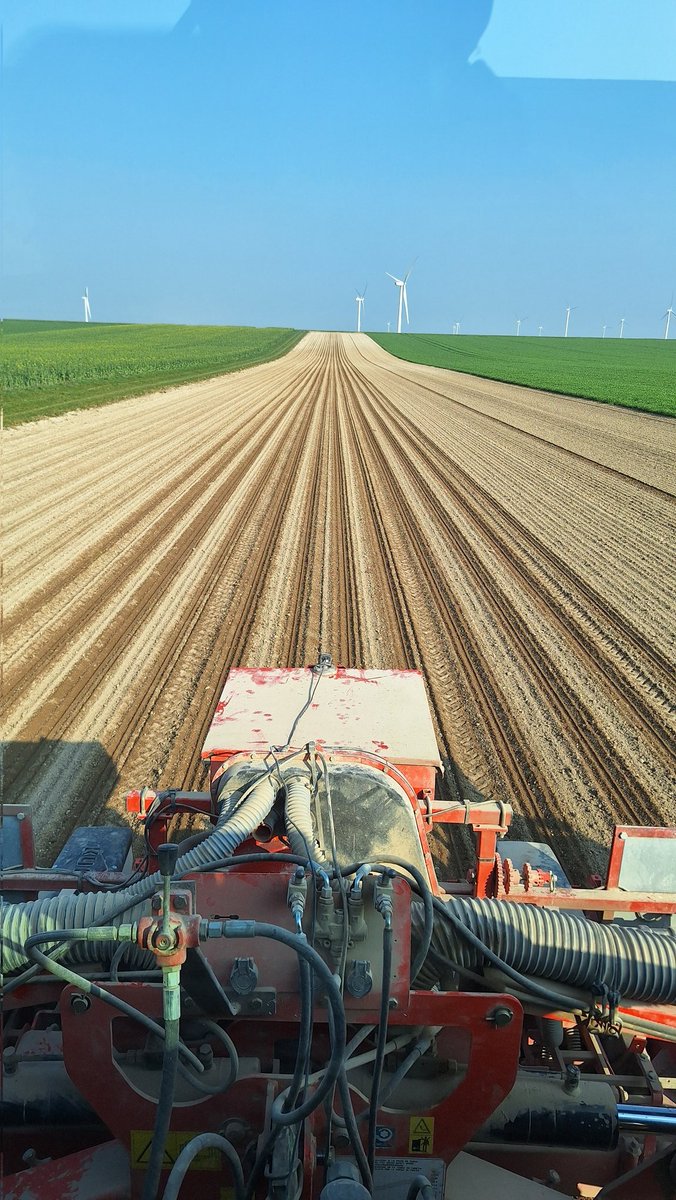 Alexis Leherle tweet media