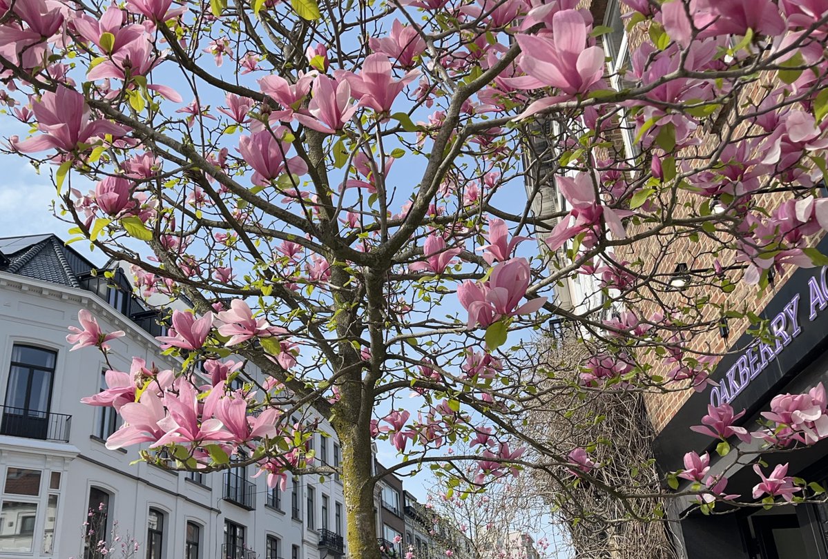 Cassandra. Just Happy tweet media