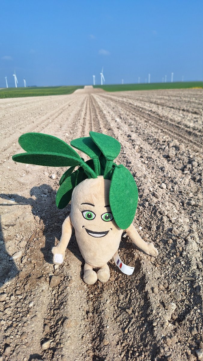 Alexis Leherle tweet media