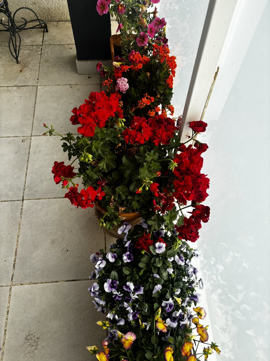 Víctor D. Regalado González-Serna tweet media