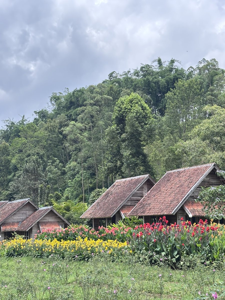 kugy🌸 tweet media