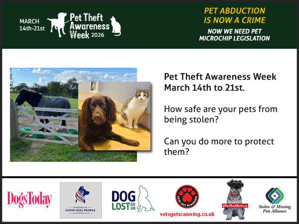 Pet Theft Awareness tweet media