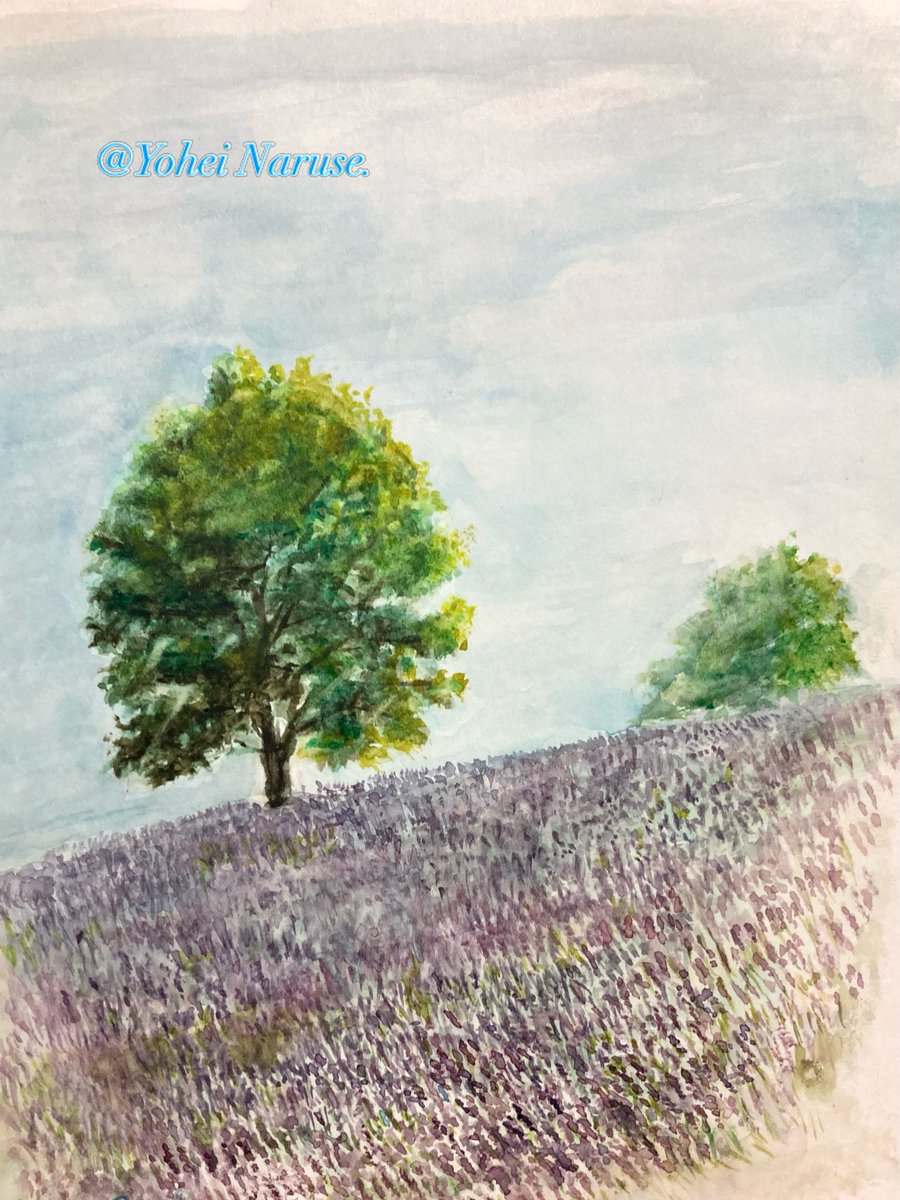 Yoheiロマンチスト99% tweet media