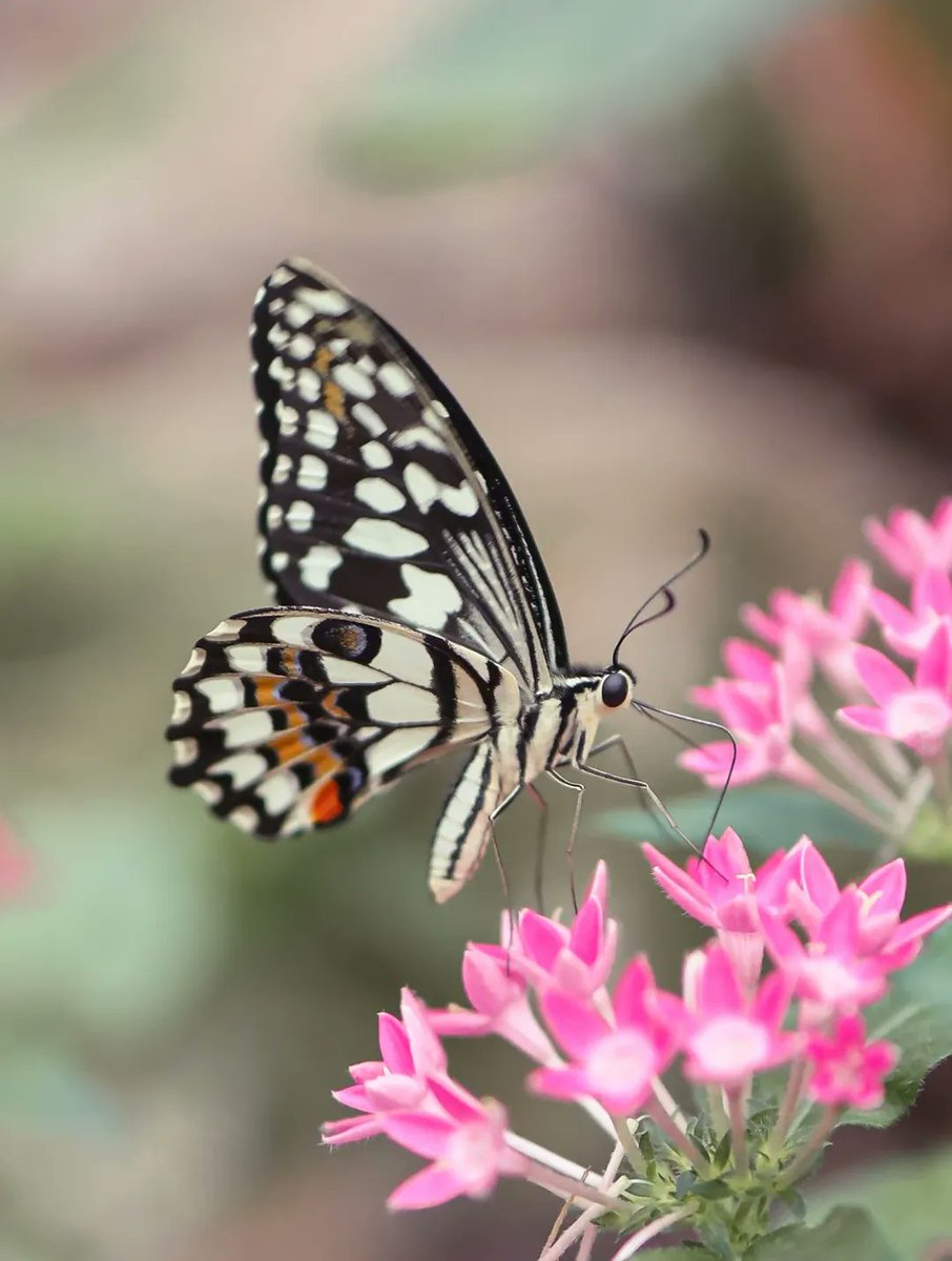 TurismoFVG tweet media