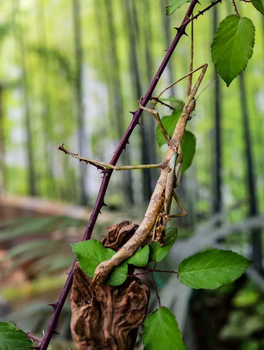 TurismoFVG tweet media