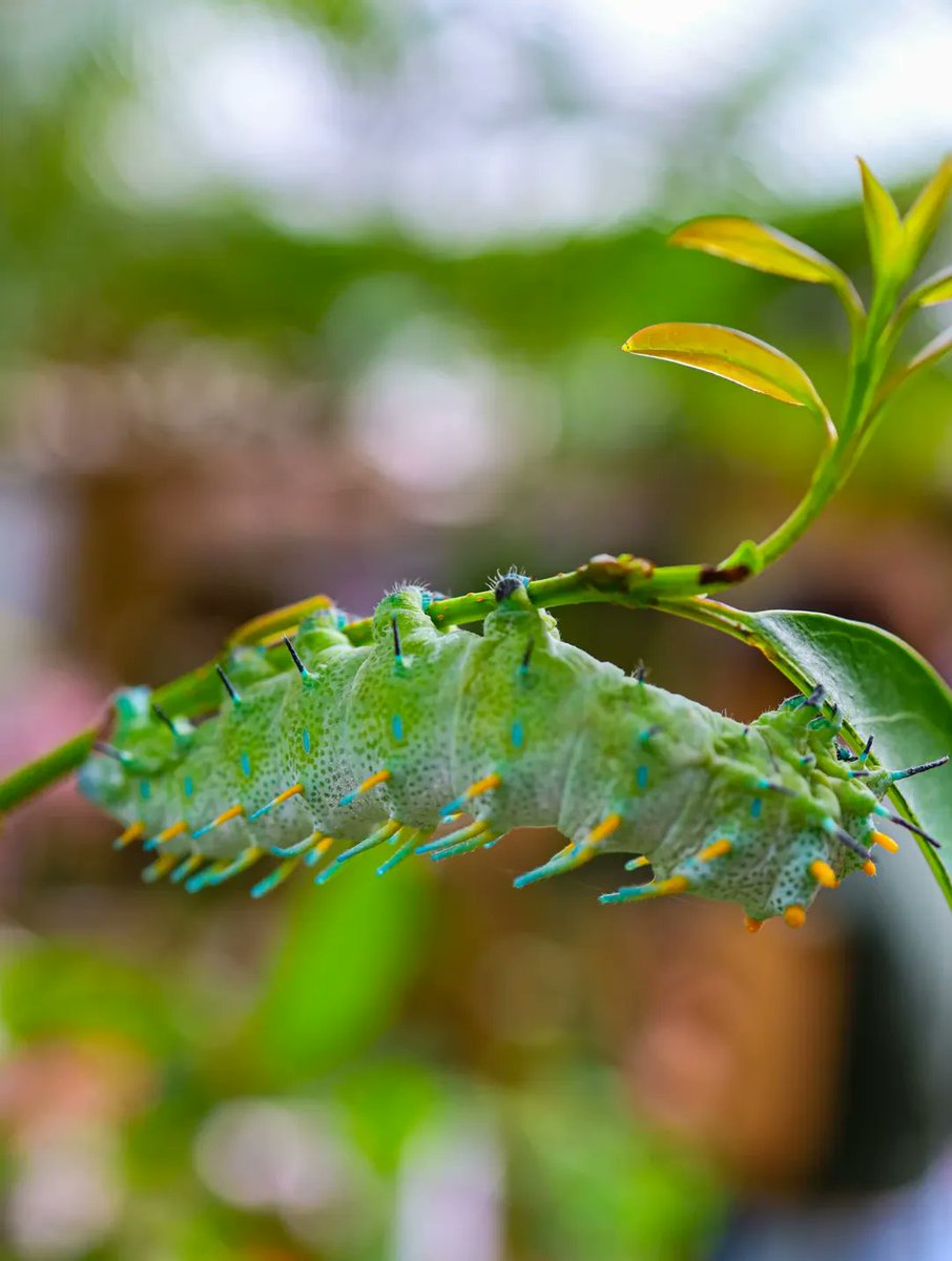 TurismoFVG tweet media