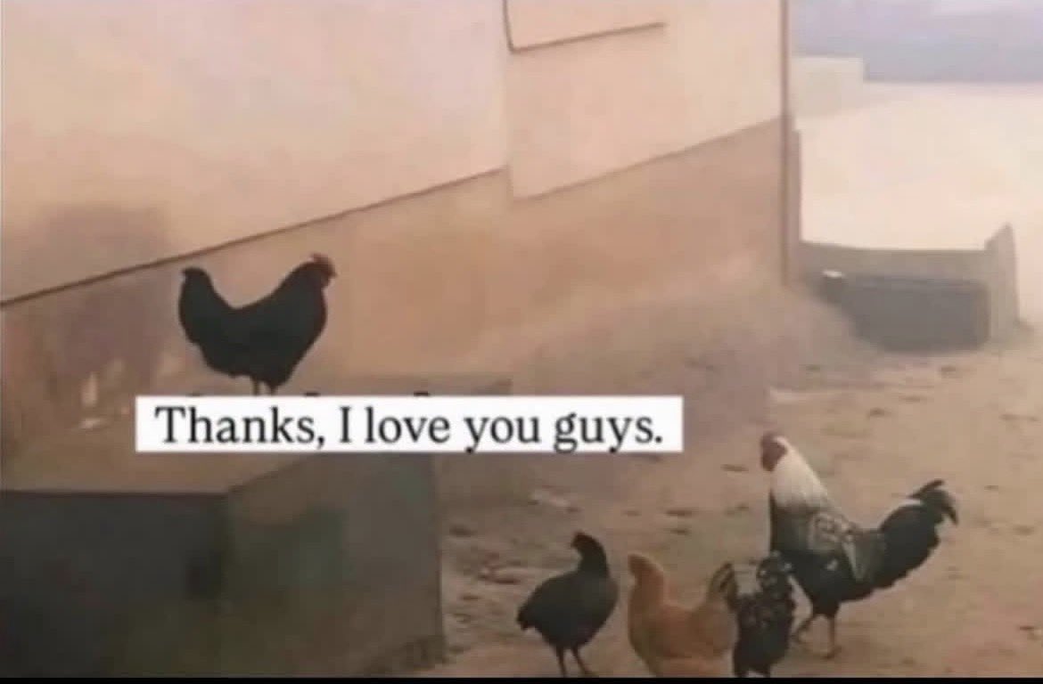 Ayjay 🧃 tweet media