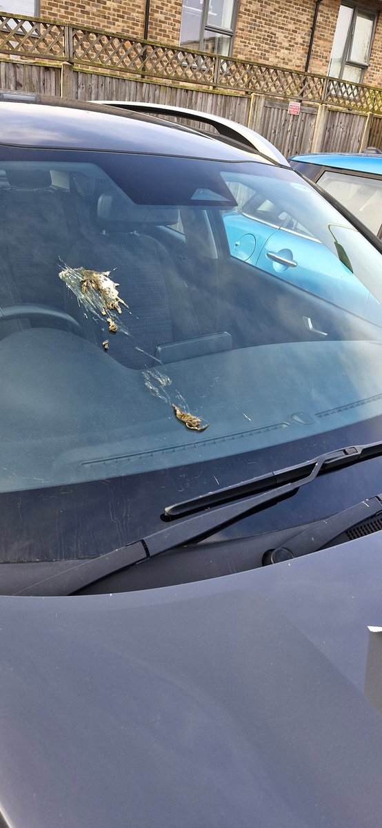 Joanne Kenny tweet media