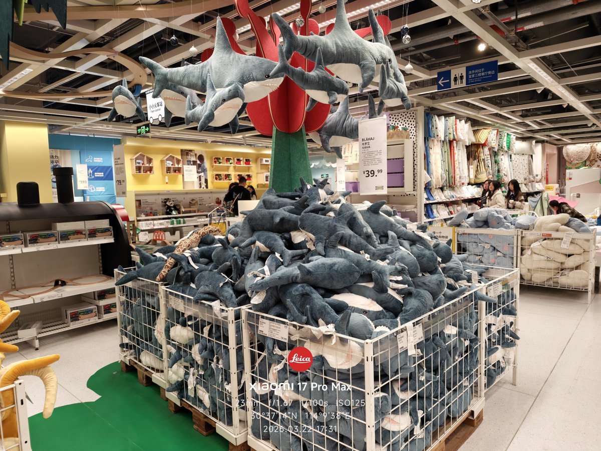 Attachment tweet media