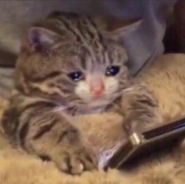 𝖴𝗇𝗄𝗇𝗈𝗐𝗇 . tweet media