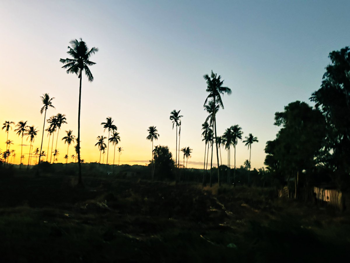 Mayki Chan tweet media