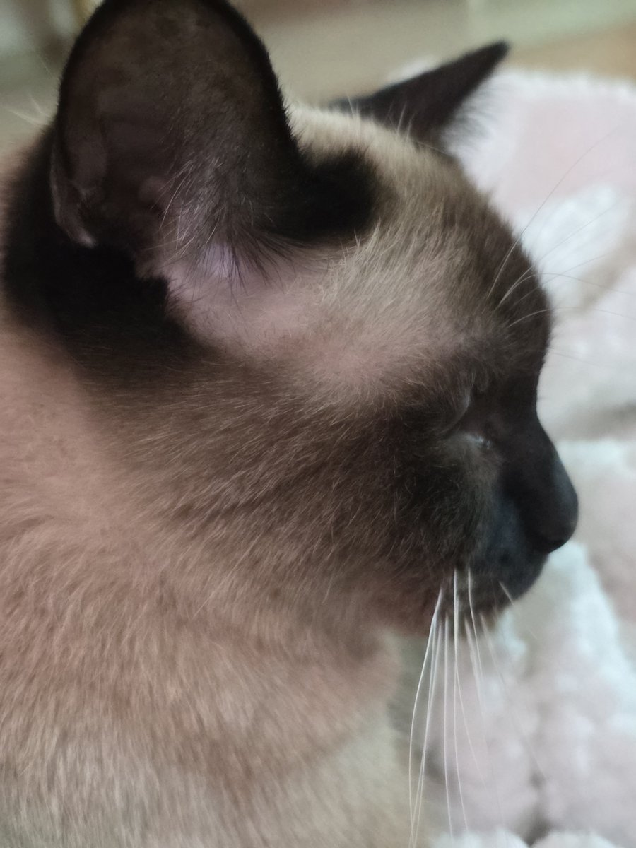 주무세요? tweet media