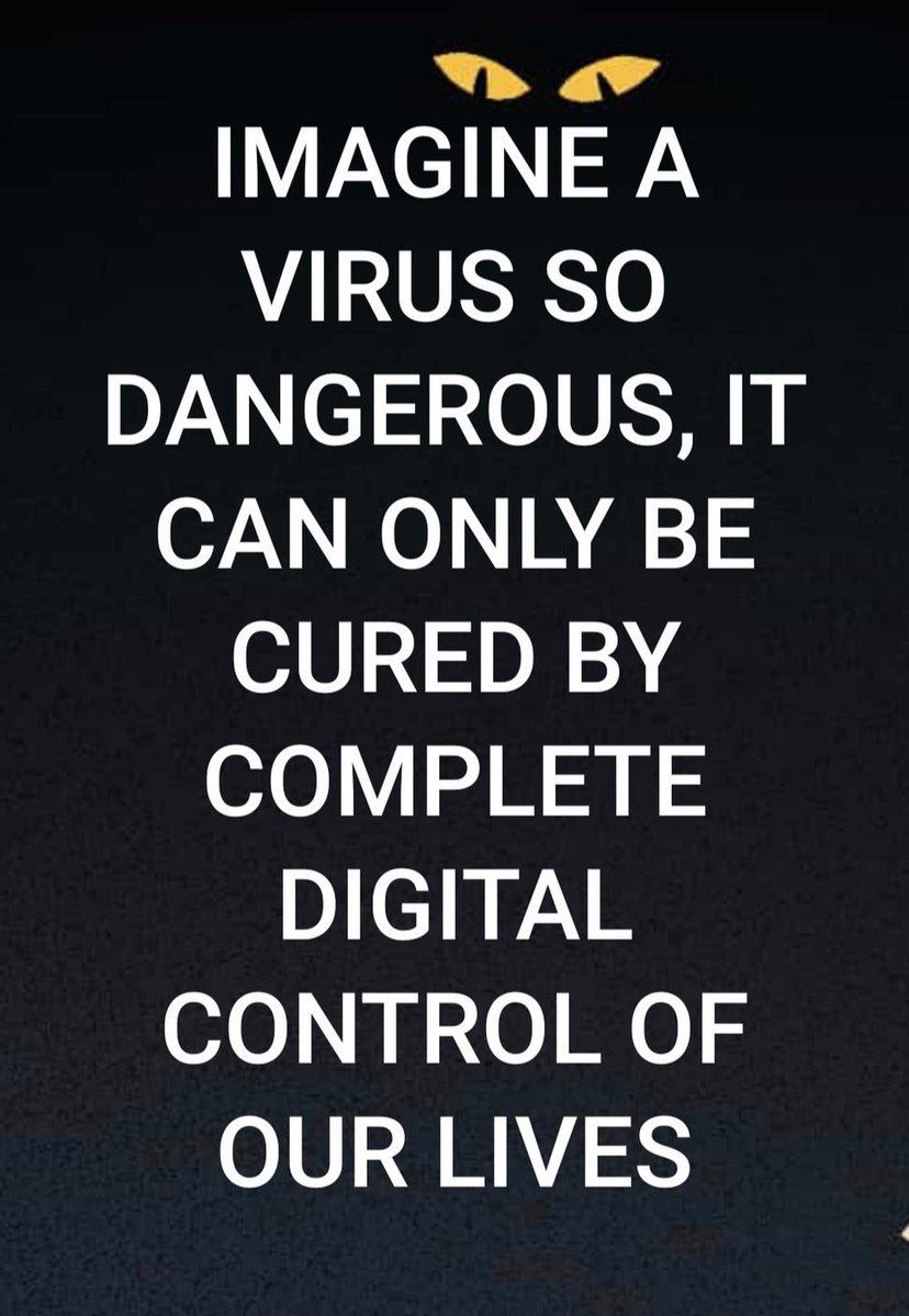 🐦‍🔥Phoenix Rising = ⚛️Proton XPR + Loan Protocol tweet media