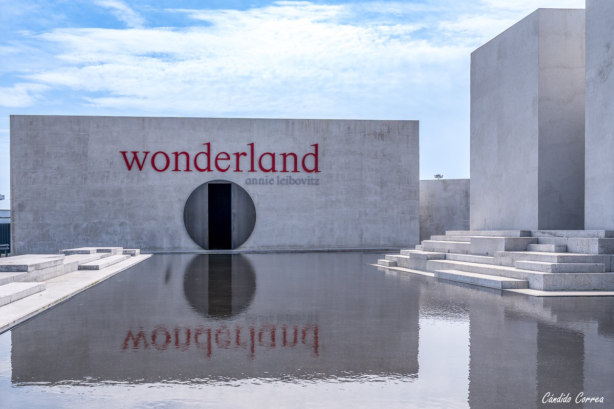 Cándido tweet media